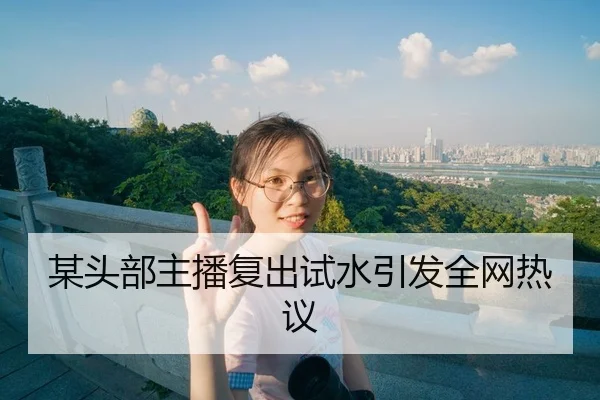 某头部主播复出试水引发全网热议